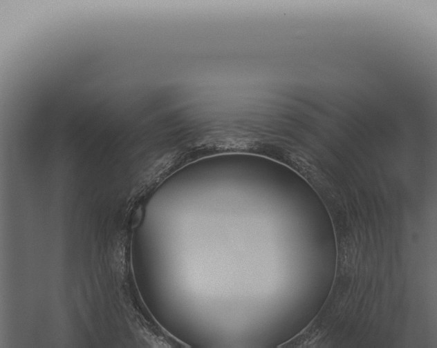 X0000060270309200511041422