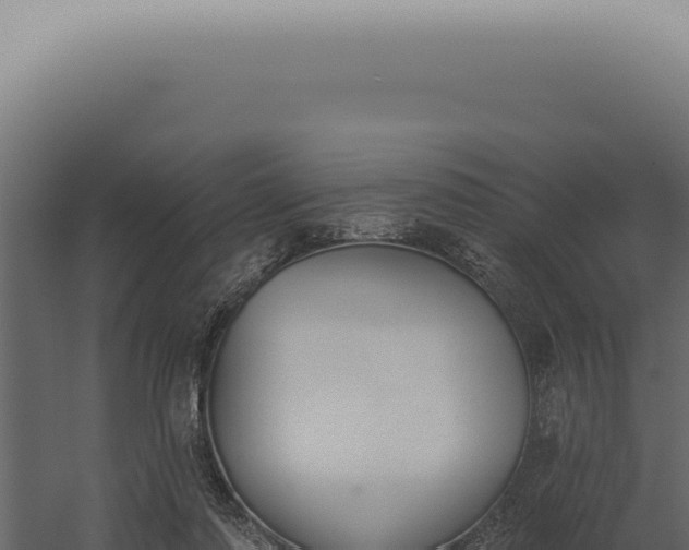X0000060270310200511041422