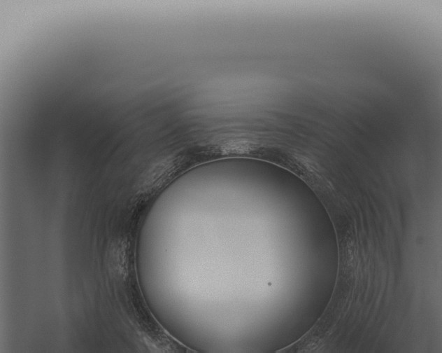 X0000060270311200511041422