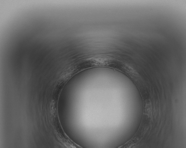 X0000060270318200511041422
