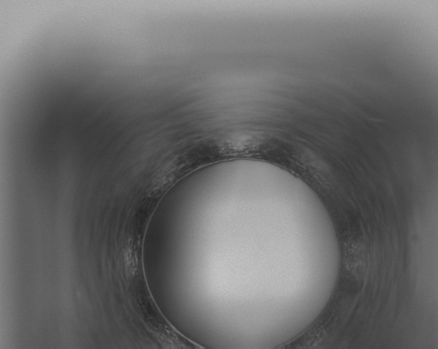 X0000060270324200511041422