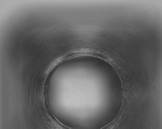 X0000060270341200511041421