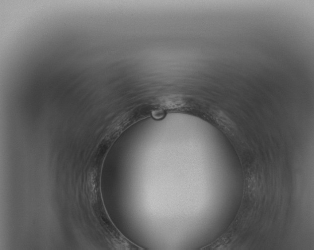 X0000060270373200511041422