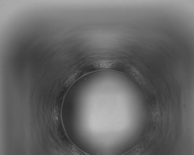 X0000060270374200511041422