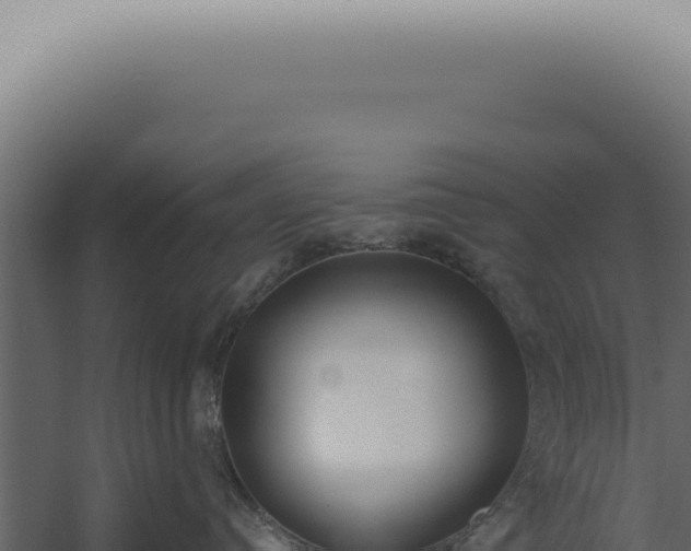 X0000060270384200511041422