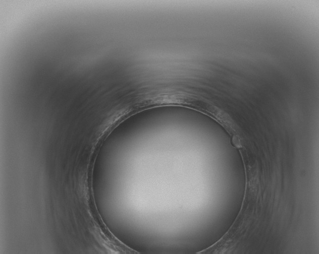 X0000060270386200511041421