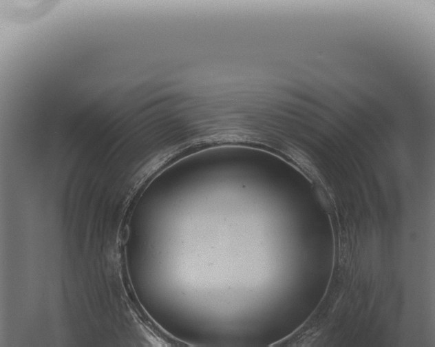 X0000060270389200511041421