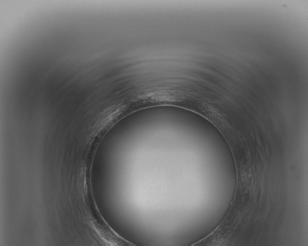X0000060270398200511041421