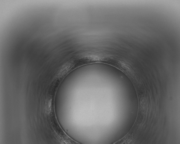 X0000060270406200511041421