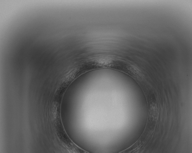 X0000060270412200511041421