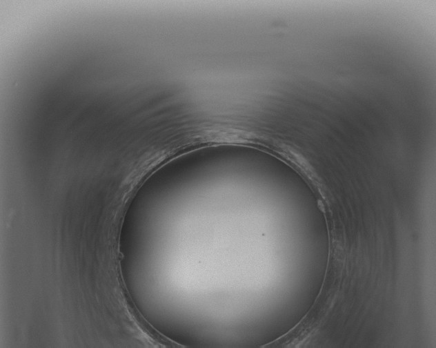 X0000060270433200511041419