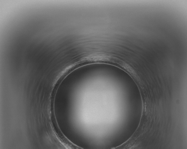 X0000060270438200511041419