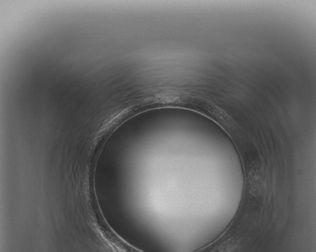 X0000060270442200511041420