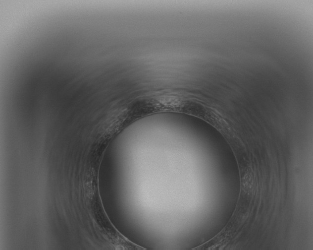 X0000060270464200511041420