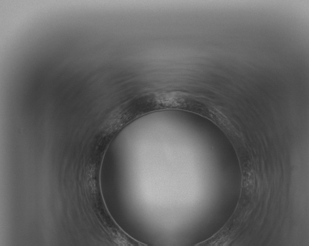 X0000060270466200511041420