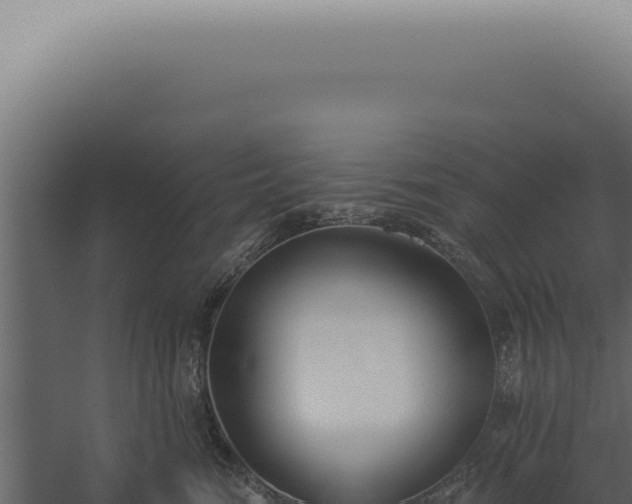 X0000060270474200511041420