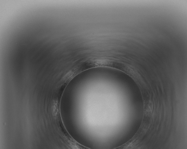 X0000060270478200511041420