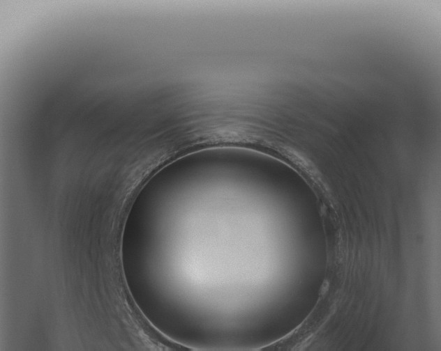 X0000060270481200511041419