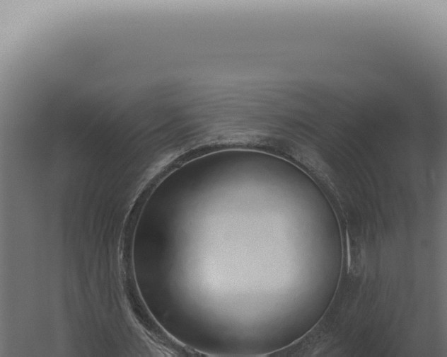 X0000060270483200511041419