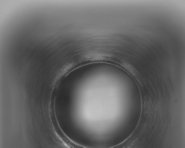 X0000060270485200511041419