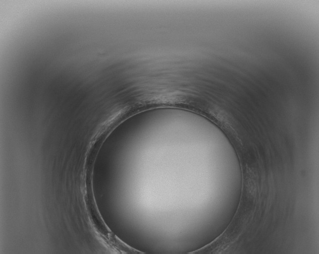 X0000060270486200511041419