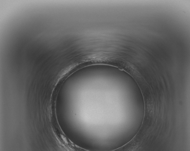 X0000060270488200511041419