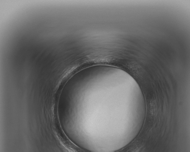 X0000060270491200511041419