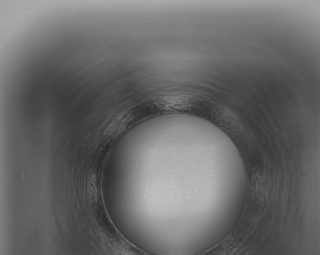 X0000060270506200511041419