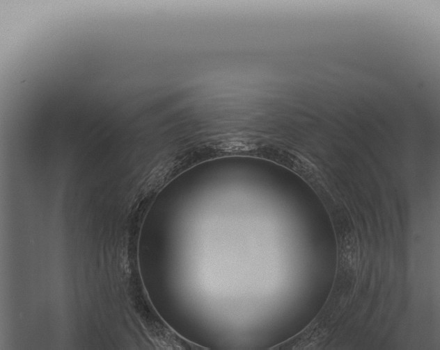 X0000060270512200511041419