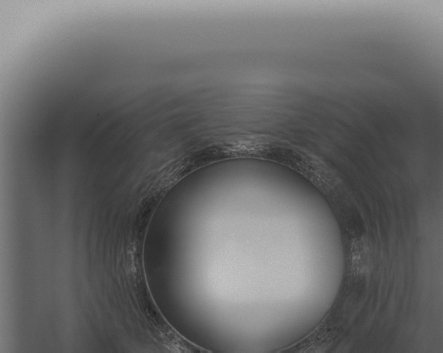 X0000060270514200511041419
