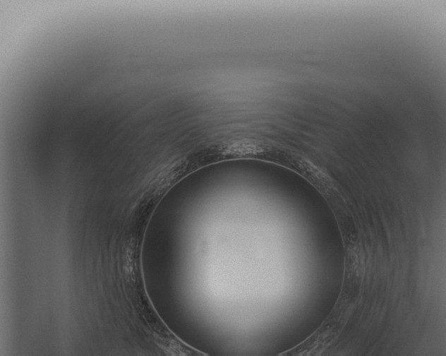 X0000060270517200511041419