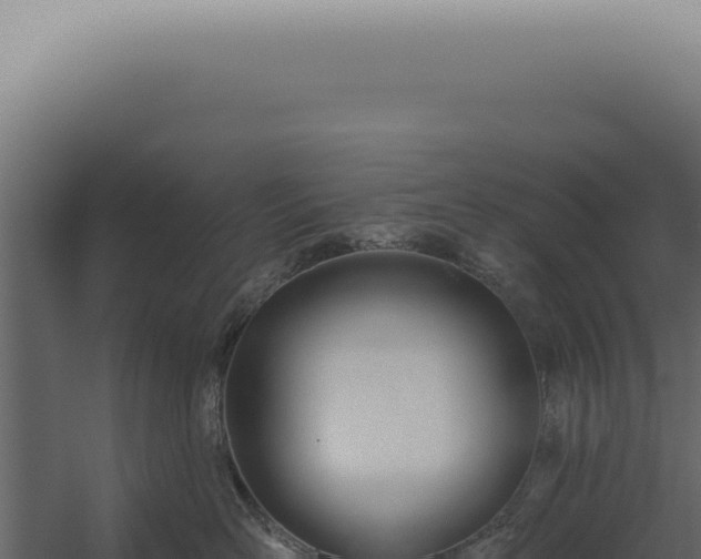 X0000060270526200511041419