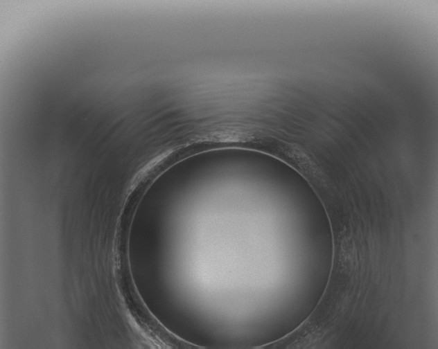 X0000060270536200511041418