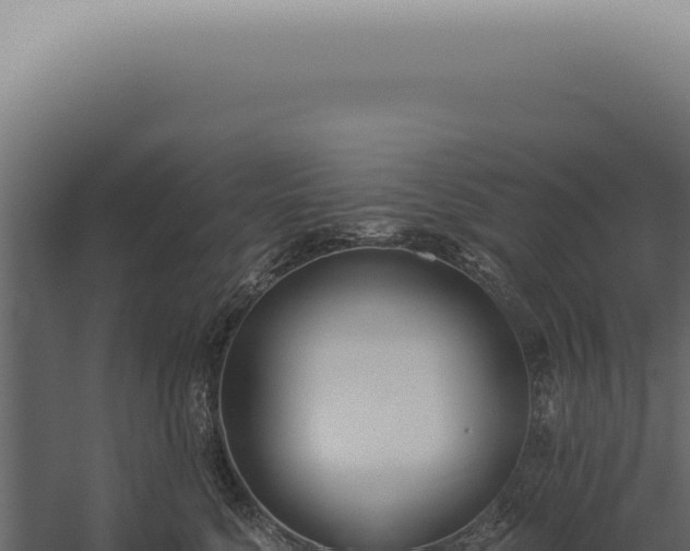 X0000060270568200511041418