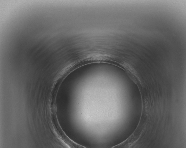 X0000060270581200511041418