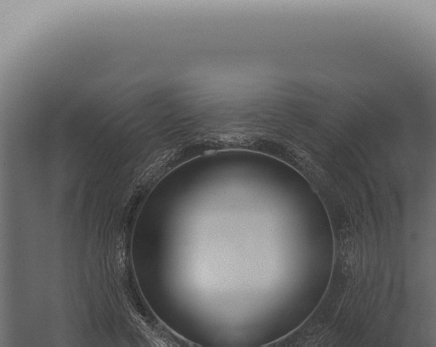 X0000060270593200511041417