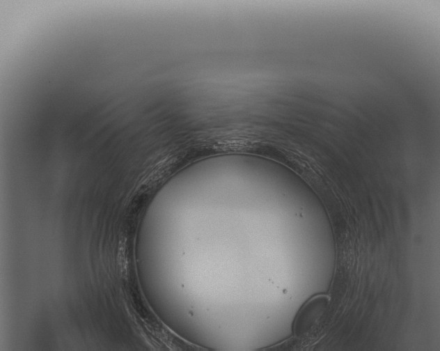X0000060270599200511041417