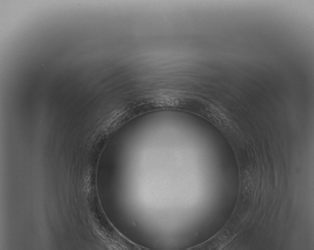 X0000060270600200511041417
