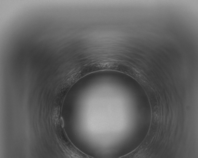 X0000060270605200511041417