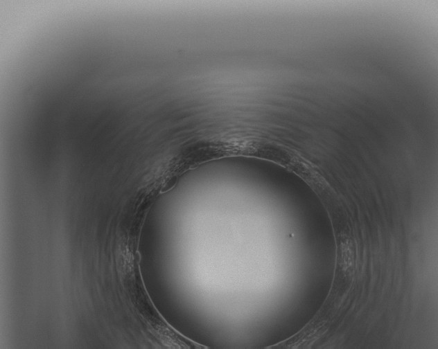 X0000060270613200511041417