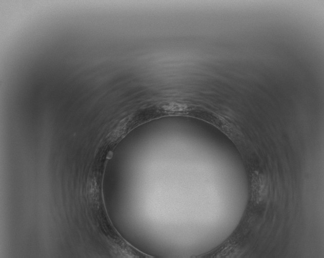X0000060270614200511041417