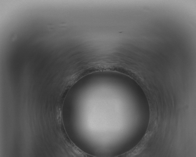 X0000060270624200511041417