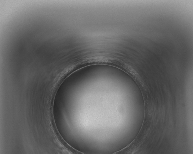 X0000060270625200511041416
