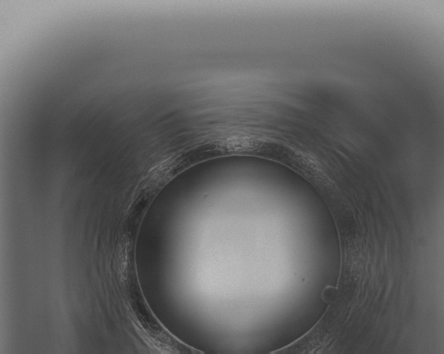 X0000060270645200511041416