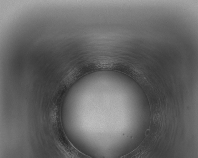X0000060270647200511041416