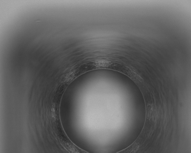 X0000060270655200511041417