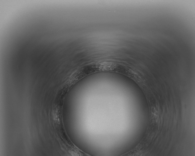 X0000060270663200511041417