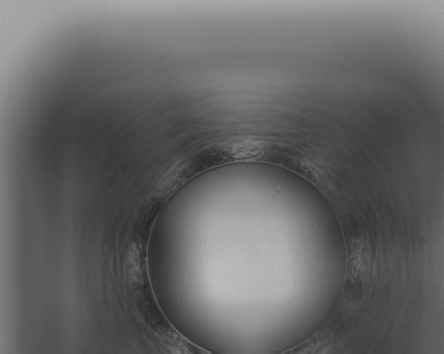 X0000060270667200511041417
