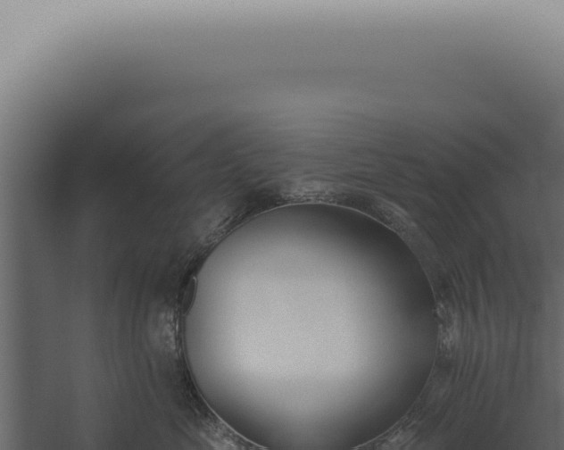 X0000060270669200511041417