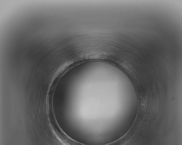 X0000060270678200511041416